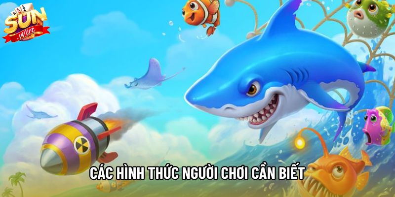Các hình thức người chơi cần biết