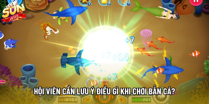 Hội viên cần lưu ý điều gì khi chơi bắn cá?
