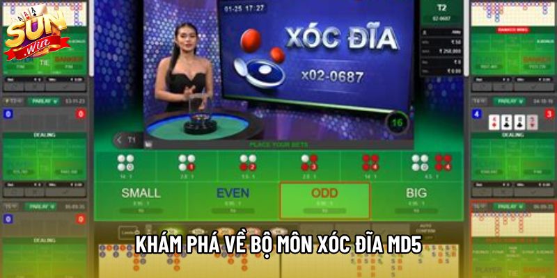 Khám phá về bộ môn xóc đĩa MD5 Khám phá về bộ môn xóc đĩa MD5